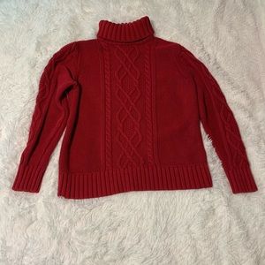 Eddie Bauer Thick Cotton/Acrylic Turtleneck Sweater, Petite L, Red